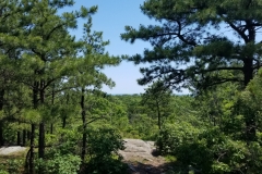 20190623_112100