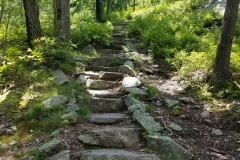 20190623_113509