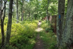 20190623_114428