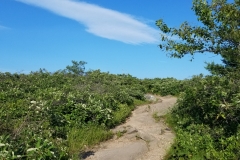 20190623_172643