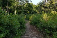 20190623_181403